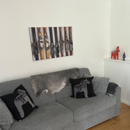 Joaengets Fjaellgard 18A Apartment ซาเลน ภายนอก รูปภาพ