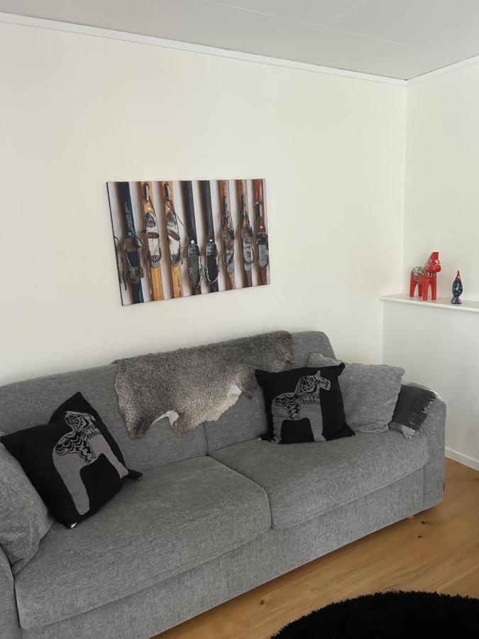 Joaengets Fjaellgard 18A Apartment ซาเลน ภายนอก รูปภาพ